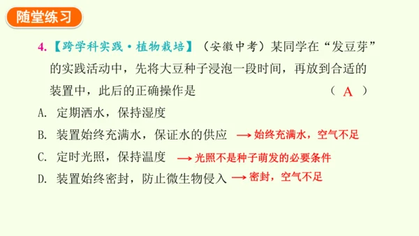 3.1.1 种子的萌发-七年级生物下学期同步精品课件（2024人教版）(共25张PPT)