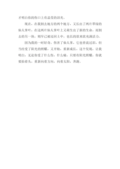 不一样的发现作文700字.docx