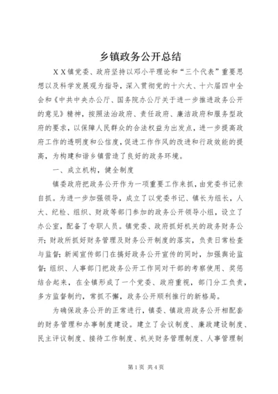 乡镇政务公开总结.docx