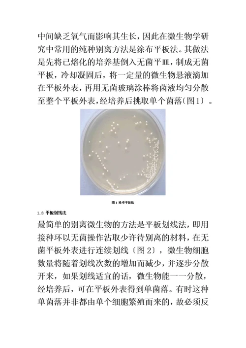 最新微生物菌种的分离和纯化方法