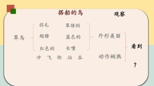 第15课《搭船的鸟》课件