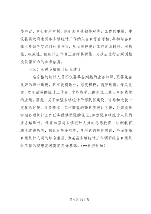 某县乡镇统计工作调研报告.docx