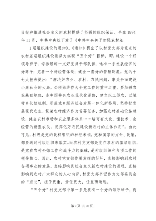 怎样当好一名村党支部书记.docx