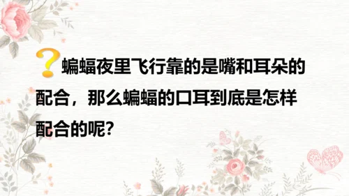 6夜间飞行的秘密  课件