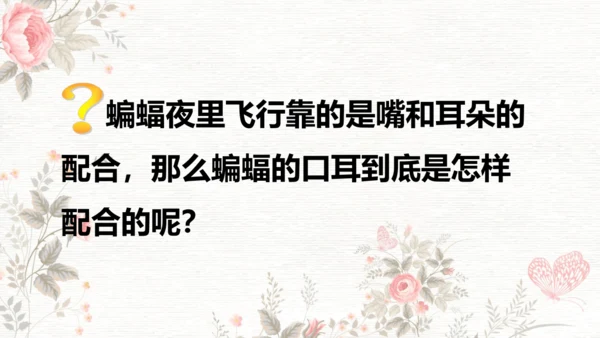 6夜间飞行的秘密  课件