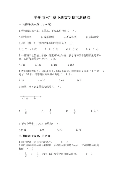 平湖市六年级下册数学期末测试卷附精品答案