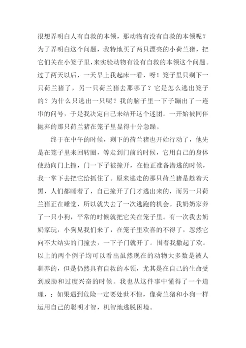 动物作文00.docx