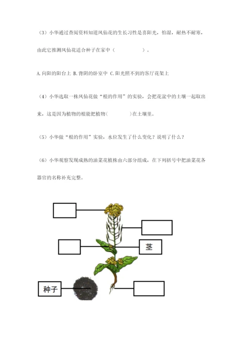 教科版四年级下册科学第一单元《植物的生长变化》测试卷（考试直接用）.docx