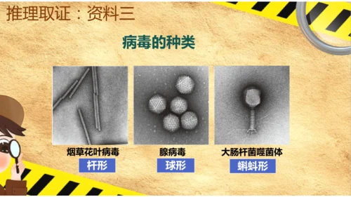 人教版生物八年级上册5.5《病毒》（课件）(共30张PPT)+视频素材