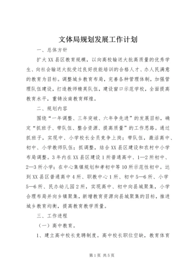 文体局规划发展工作计划.docx