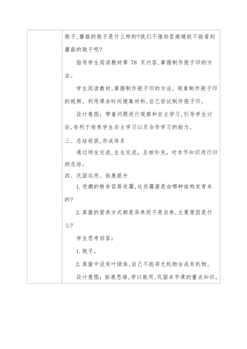 5.4.3真菌