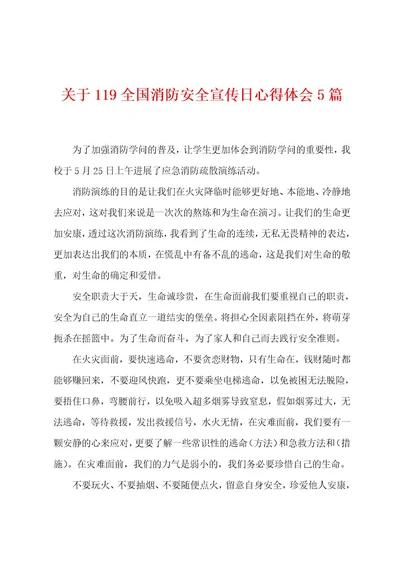 关于119全国消防安全宣传日心得体会5篇