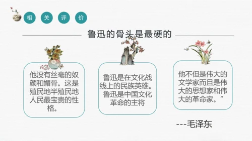七年级上册第三单元整本书阅读《朝花夕拾》课件