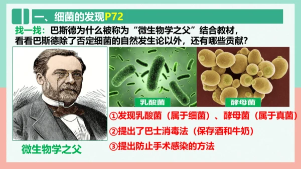 5.4.2  细菌  课件-人教版生物八年级上册(共39张PPT)