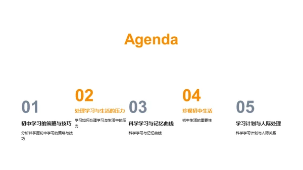 初中学习指南