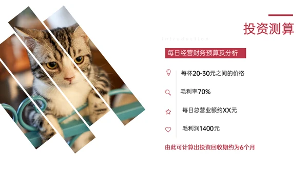 猫舍咖啡馆创业融资商业计划书通用PPT模板