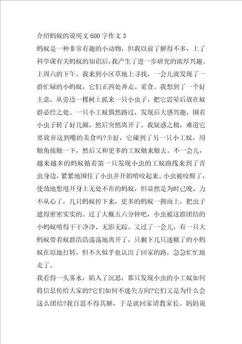 介绍蚂蚁的说明文600字作文5篇