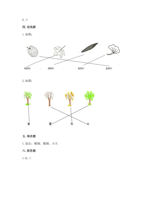 教科版科学一年级上册第一单元《植物》测试卷（历年真题）.docx