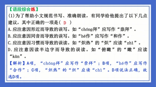 2023-2024学年统编版语文七年级下册 第六单元复习 课件(共94张PPT)