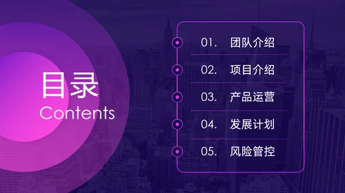 紫色神秘商业项目计划书通用PPT模板