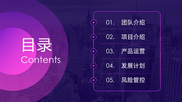 紫色神秘商业项目计划书通用PPT模板