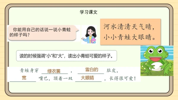 识字3 小青蛙（课件）