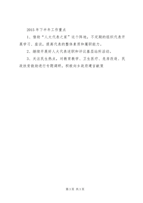 人大某年上半年工作总结和下半年工作计划.docx