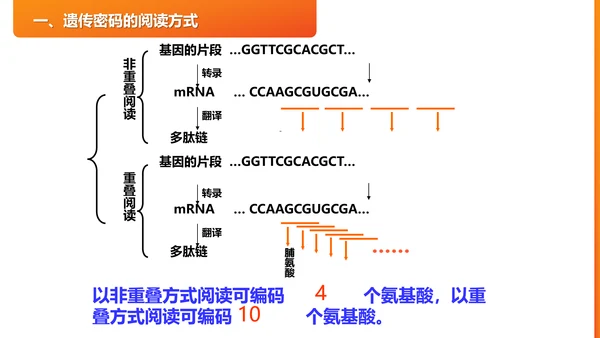 基因遗传密码的破译PPT课件