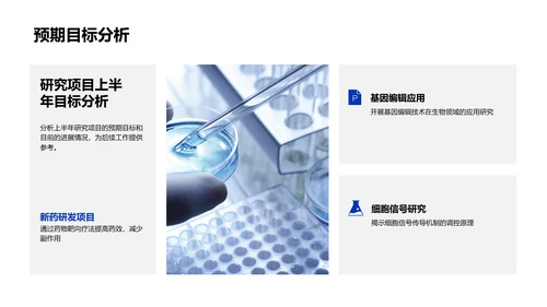 生物研究半年报告