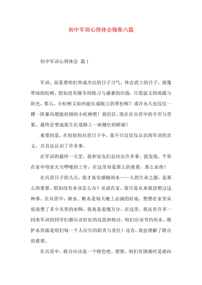 初中军训心得体会锦集六篇.docx