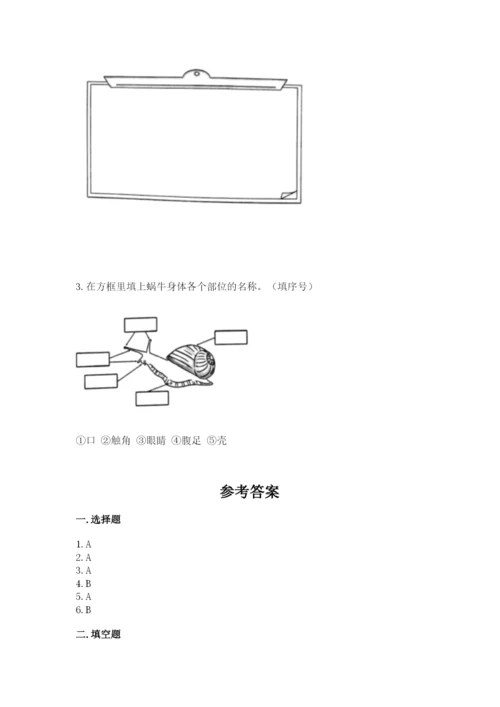教科版一年级下册科学期末测试卷（夺分金卷）.docx