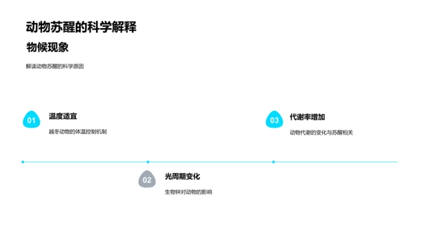 科学解读立春PPT模板