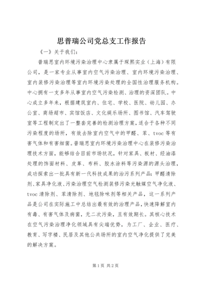 思普瑞公司党总支工作报告 (3).docx