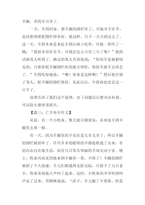 亡羊补牢的作文.docx