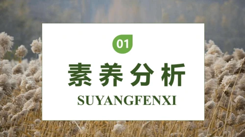 【核心素养】部编版语文四年级下册-21.芦花鞋（课件）