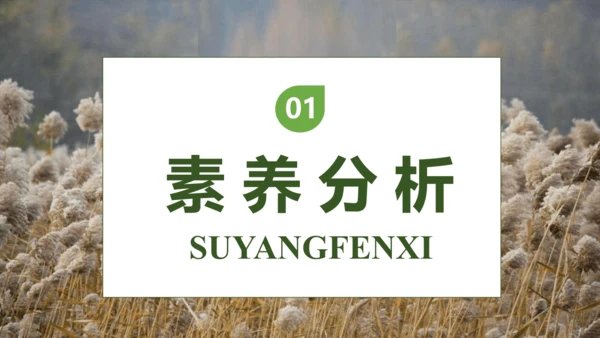 【核心素养】部编版语文四年级下册-21.芦花鞋（课件）
