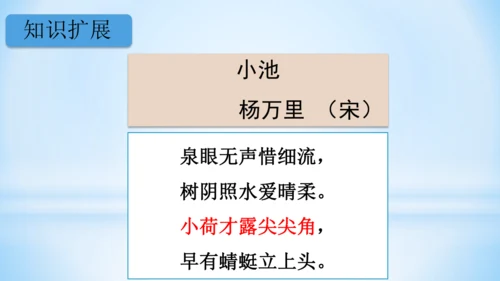3.荷花（第1课时）(教学课件)