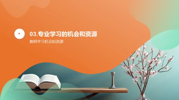 教师专业发展计划介绍