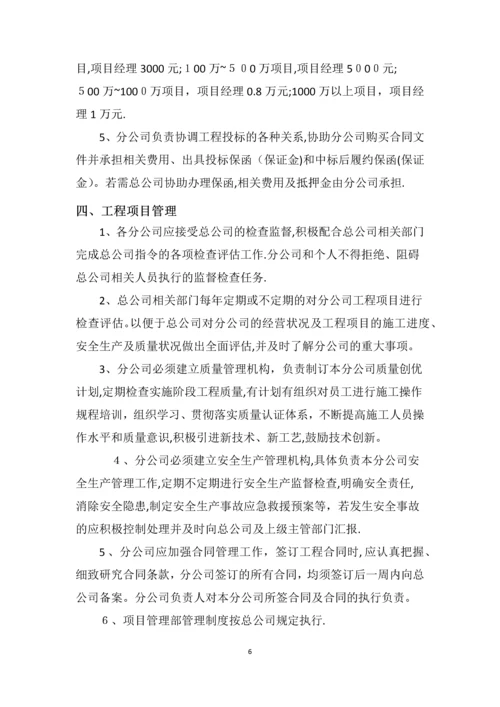 分公司管理制度.docx