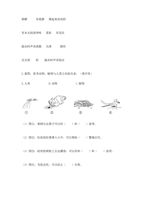 教科版二年级上册科学期末测试卷含答案（培优b卷）.docx