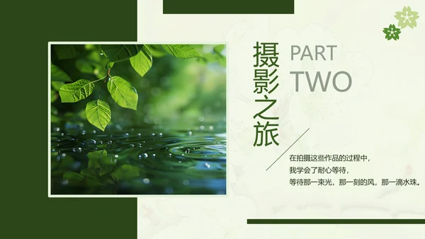 绿色简约风摄影师个人作品集PPT模板