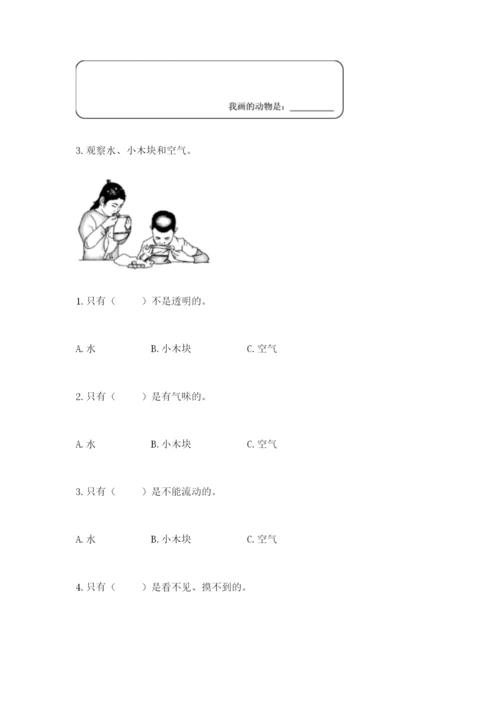 教科版小学科学一年级下册期末测试卷【有一套】.docx