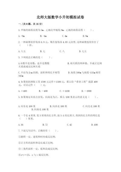 北师大版数学小升初模拟试卷精品【名师系列】.docx