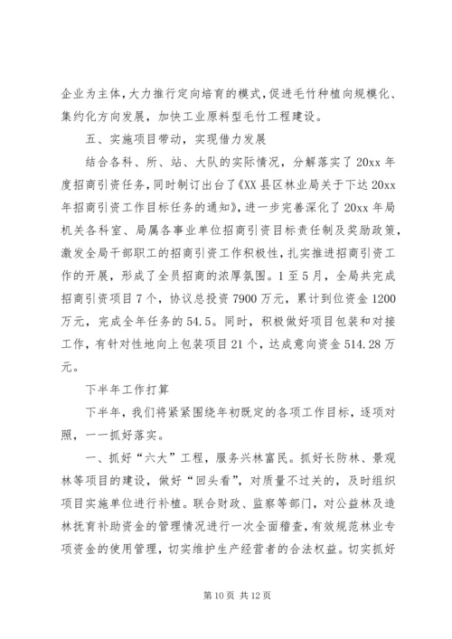 林业工作总结及工作计划 (6).docx