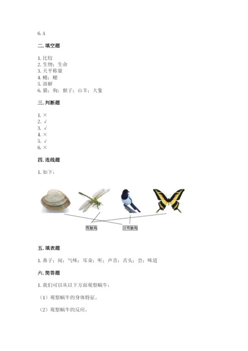 教科版一年级下册科学期末测试卷精品【有一套】.docx