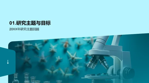研究之路的回顾与展望