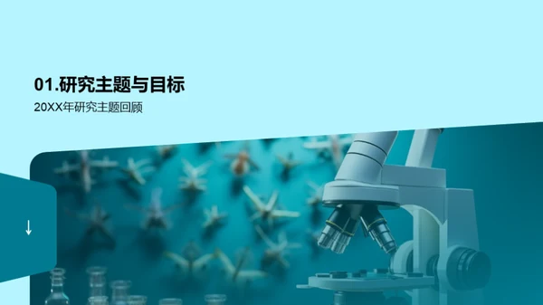 研究之路的回顾与展望