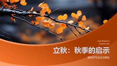 立秋：秋季的启示