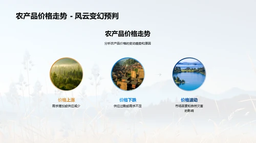 农业收益全面分析