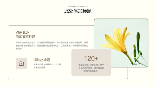 浅色极简清新总结汇报通用PPT演示模板